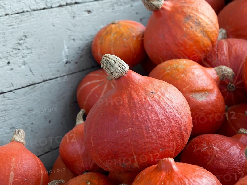 Several large pumpkins in a wooden box that looks rustic and autumnal, many orange pumpkins at harvest time, borken, germany