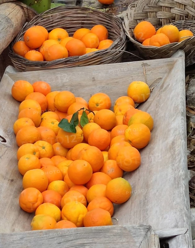 Wooden bowl and baskets with oranges, Rhodes, Greece, Europe