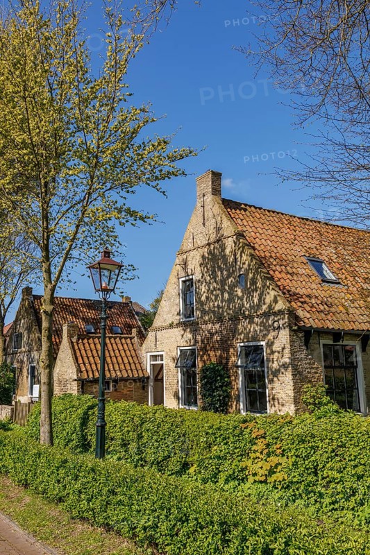 Cosy brick houses with red roofs, lampposts, green hedges and lush trees, historic houses in a small village with small streets and trees in spring, Nes, Ameland, Netherlands