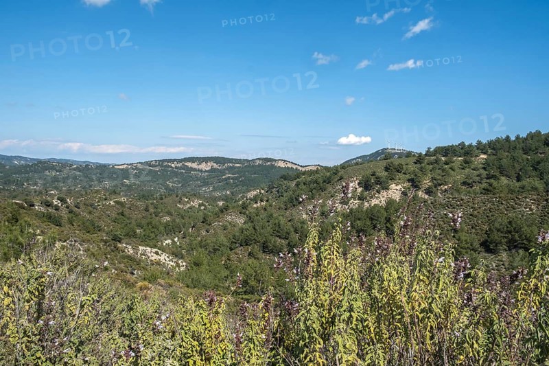 Landscape in the centre of Rhodes, Dodecanese archipelago, Greek islands, Greece, Europe
