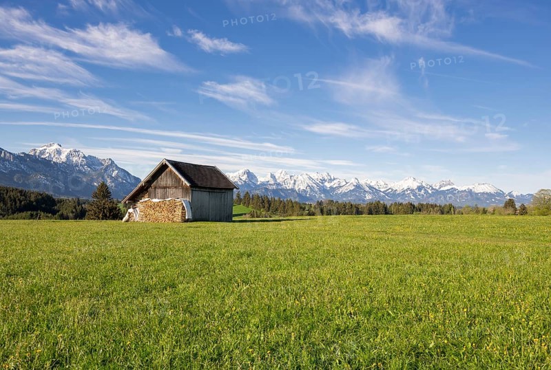 Wooden hut near Fuessen, woodpile, Allgaeu Alps, snow, meadow, Allgaeu, Bavaria, Germany, Europe