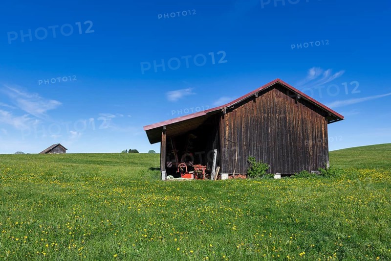 Wooden huts in a meadow near Fuessen, near Buching, Allgaeu, Bavaria, Germany, Europe