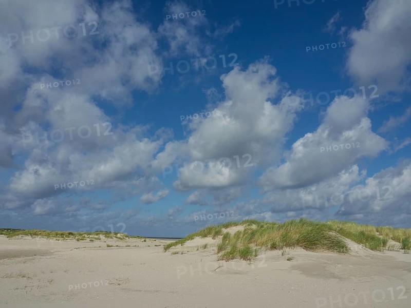 Extensive sand dunes with tufts of grass and a clear blue sky with clouds, lonely beach with dune grass in the neighbouring dunes and marker posts, clouds playing in the sky, Spiekeroog, Germany, Europe