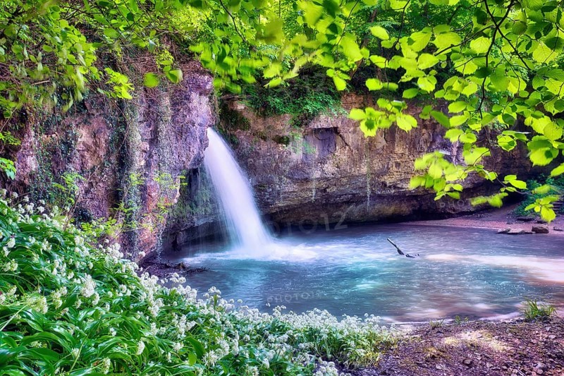 Waterfall in the forest with a small pond, wild garlic in bloom, Canton Basel-Landschaft, Switzerland, Europe