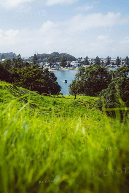 Boat moored in Tauranga harbour, Mount Managanui with paradisiacal views. Green pasture in the foreground. Taken in Tauranga, New Zealand, Oceania
