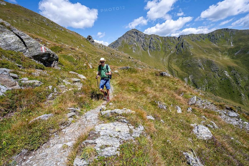 Mountaineers on a hiking trail, grassy mountain peaks on the Carnic High Trail, Carnic Main Ridge, Carnic Alps, Carinthia, Austria, Europe