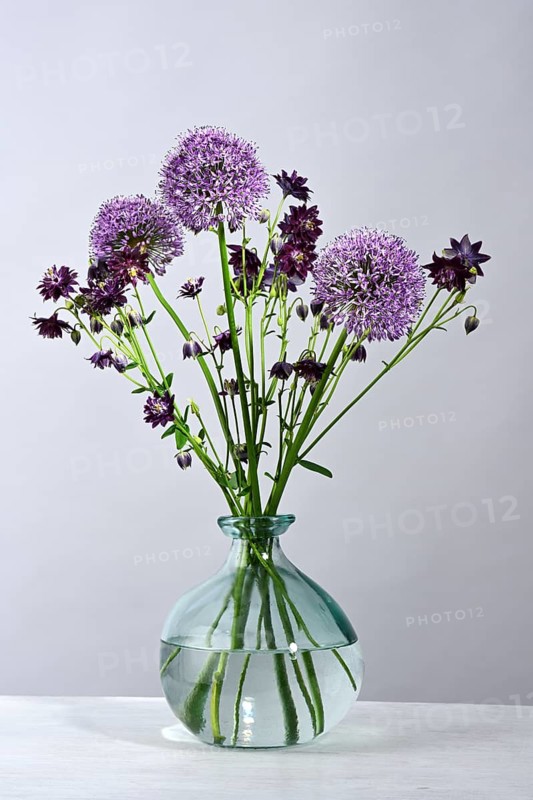 Vase with violet bouquet with Giant onion (Allium giganteum) flowers