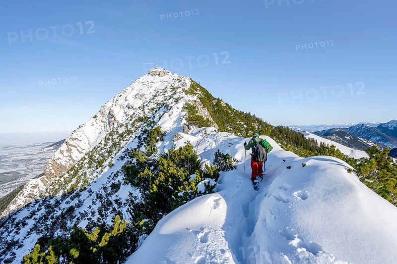 Mountaineer on the ridge of the Aiplspitz in the snow, snow-covered mountain landscape with mountain pines in winter, ski tour to the Aiplspitz, Mangfall mountains, Bavarian Prealps, Bavaria, Tyrol