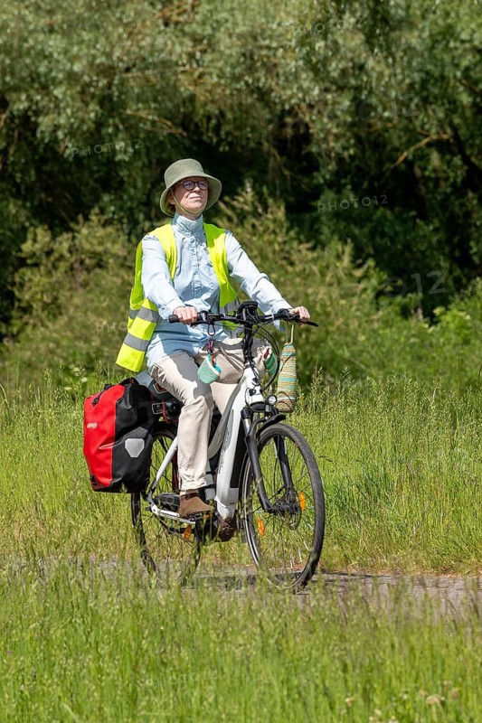 Cyclist, Elbe cycle path near Boizenburg, Mecklenburg-Western Pomerania, Germany, Europe