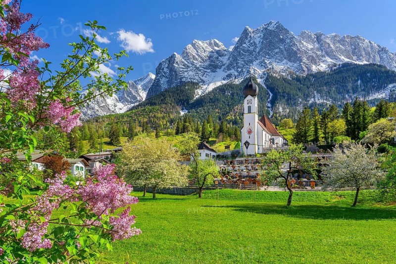 Spring meadow with blossoming trees and parish church in front of the Grosser Waxenstein 2277m in the Wetterstein range, Zugspitz village Grainau, Werdenfelser Land, Bavarian Alps, Upper Bavaria, Bavaria, Germany, Europe