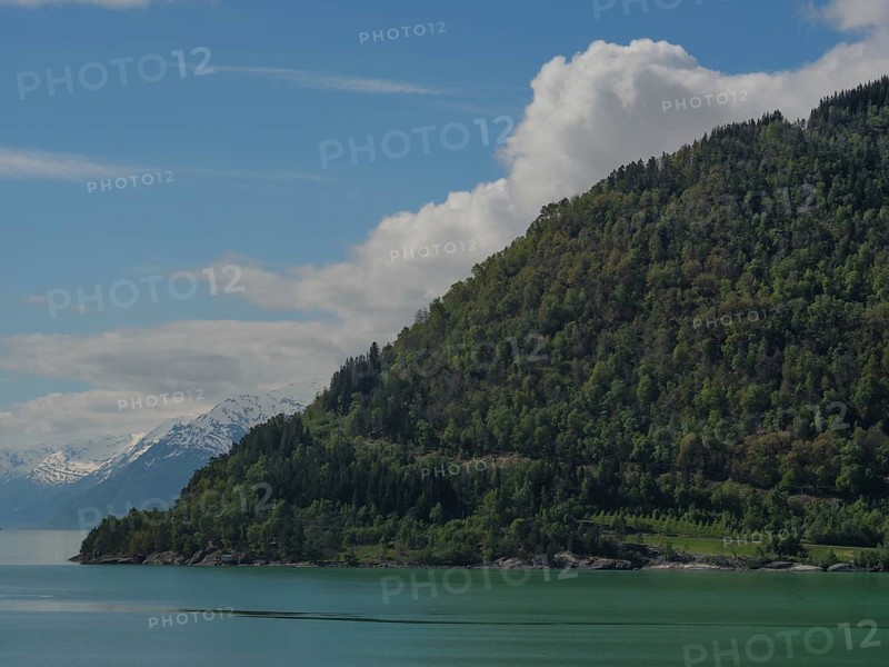 Green mountains at a lake with partly cloudy sky, nature idyll, greenish shimmering water in a fjord with snow-covered mountains and green trees, eidfjord, Norway, Europe