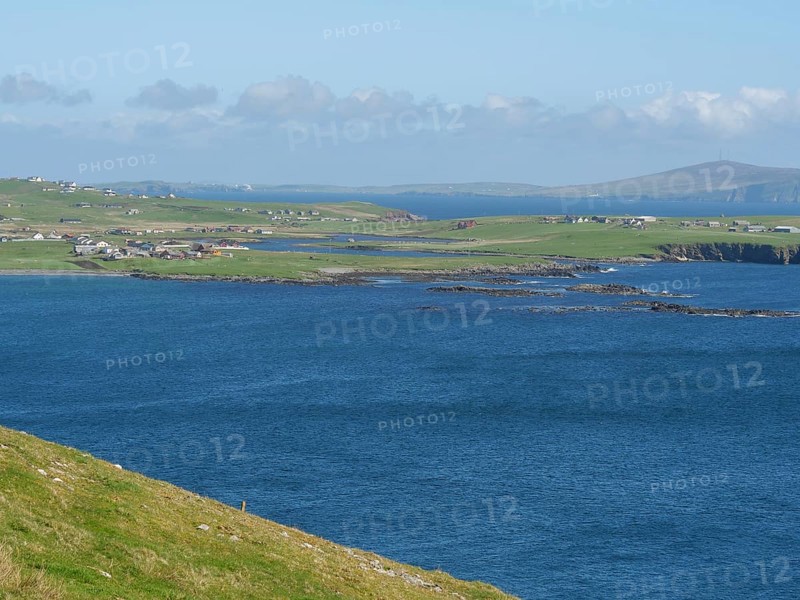 Extensive coastal landscape with houses and hills bordering the blue sea, green meadows on a deep blue sea and a rocky coastline with individual houses, lerwick, shetland, Scotland, United Kingdom, Europe