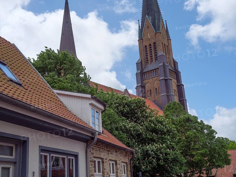 Church with high tower in a small village, surrounded by green trees and white clouds in the blue sky, large church towers with trees and historic houses in the foreground, Schleswig, Germany, Europe