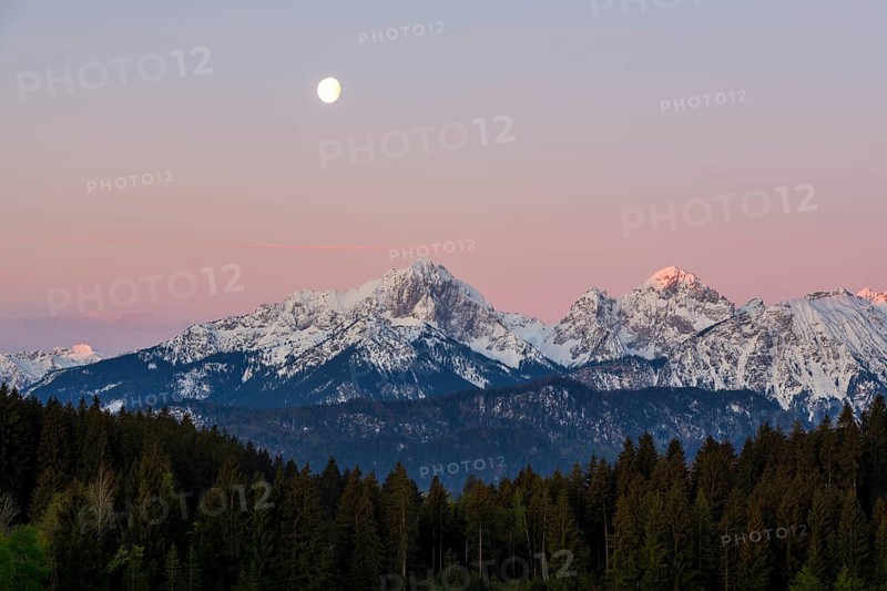 Allgaeu Alps, view from Hegratsrieder See, snow, dawn, moon, Allgaeu, Bavaria, Germany, Europe