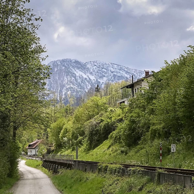 A quiet path leads through a green landscape with snow-capped mountains in the background Almtalbahn, Almtal Upper Austria nature reserve