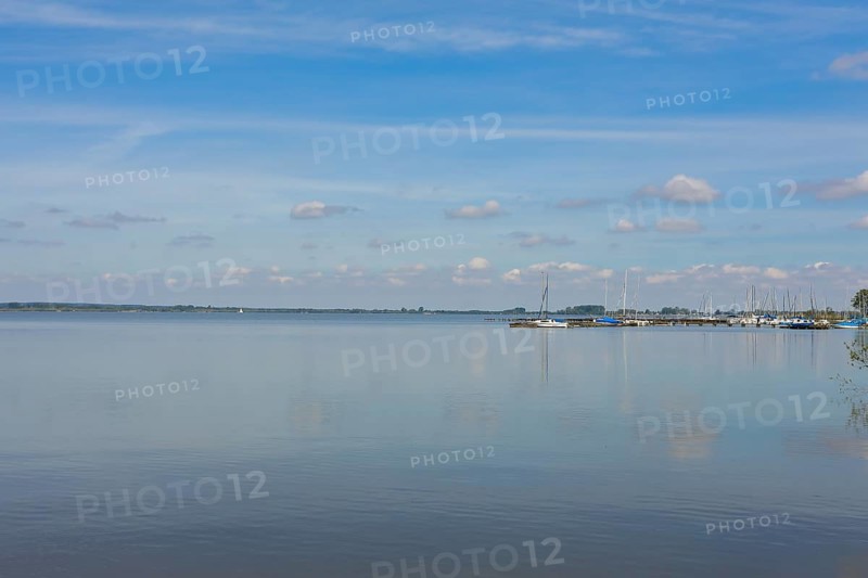 Lake Duemmer, nature reserve, shore, Huede, Lower Saxony, Germany, Europe