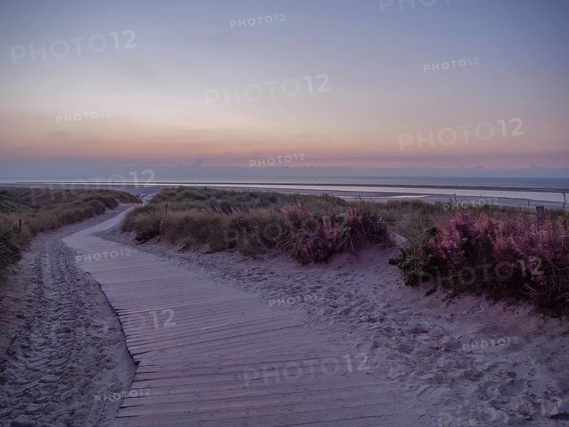 Wooden path through green dunes, to the sea, under a colourful sunset sky, setting sun on a beach with beach chairs and clouds in the sky, spiekeroog, germany