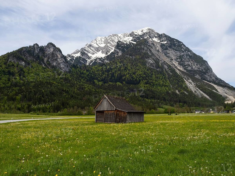 Hay barn on a meadow, behind the Grimming, near Irdning, Styria, Austria, Europe