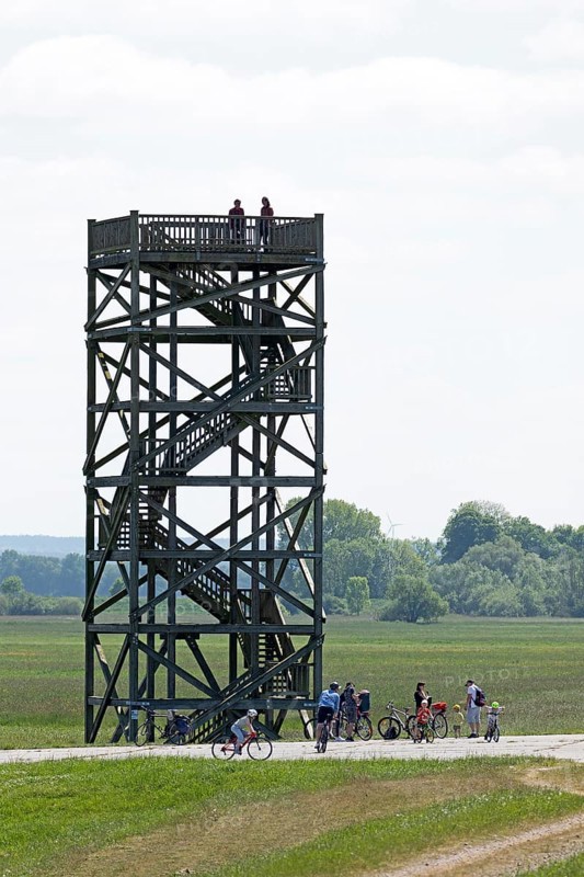Cyclist, Elbe cycle path, Mahnkenwerder observation tower near Boizenburg, Mecklenburg-Western Pomerania, Germany, Europe