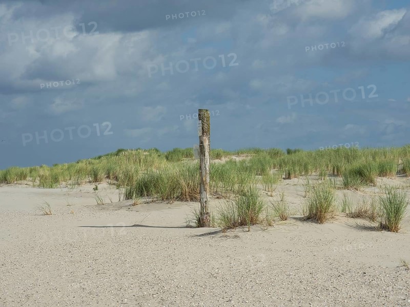 Sand dune landscape with tufts of grass and a weather post under a cloudy sky, lonely beach with dune grass in the neighbouring dune and marker post, clouds playing in the sky, Spiekeroog, Germany, Europe