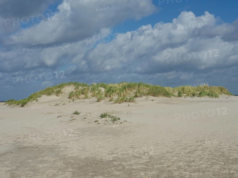 Sand dune landscape under cloudy sky, peaceful natural scenery, lonely beach with dune grass in the neighbouring dune and marker posts, clouds playing in the sky, Spiekeroog, Germany, Europe