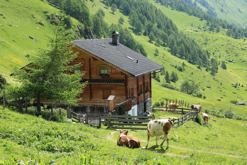 Bodenalm, Seefeld, East Tyrol, Austria, Europe