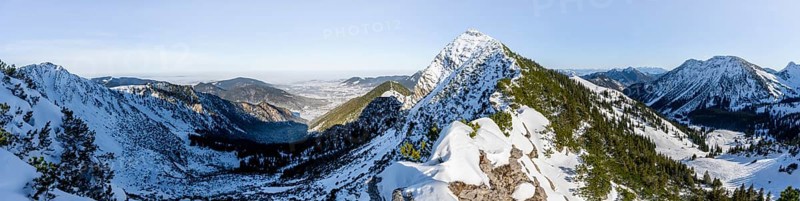 Panorama, mountain ridge of the Aiplspitz with summit cross, snow-covered mountain landscape with mountain pines in winter, ski tour to the Aiplspitz, Mangfall mountains, Bavarian Prealps, Bavaria, Tyrol
