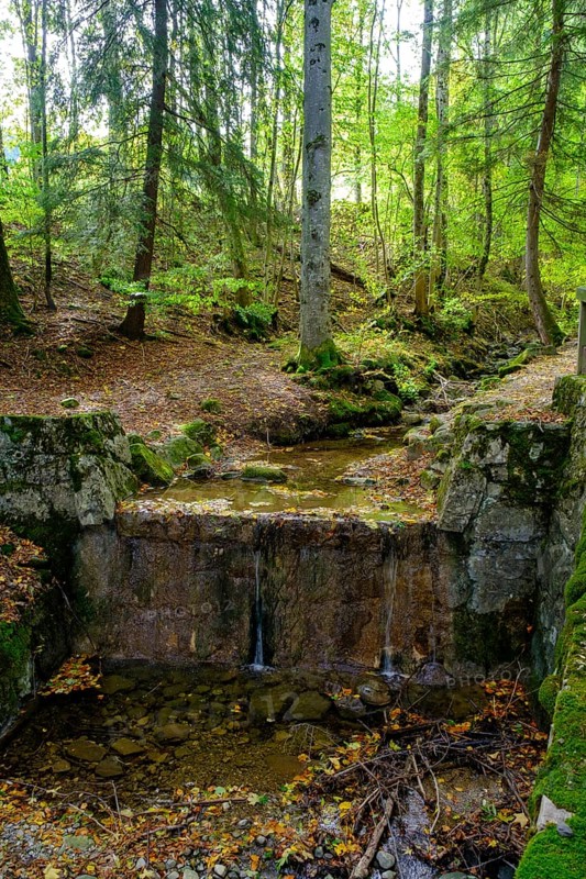 On the Timberland Trail, Obernaugraben, Bad Kohlgrub, Pfaffenwinkel, Upper Bavaria, Bavaria, Germany, Europe