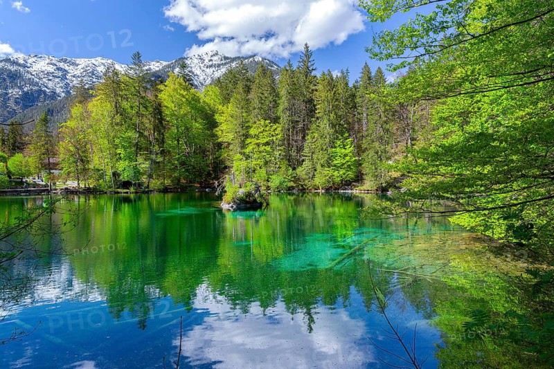 Spring at Lake Badersee, Zugspitzdorf Grainau, Werdenfelser Land, Bavarian Alps, Upper Bavaria, Bavaria, Germany, Europe