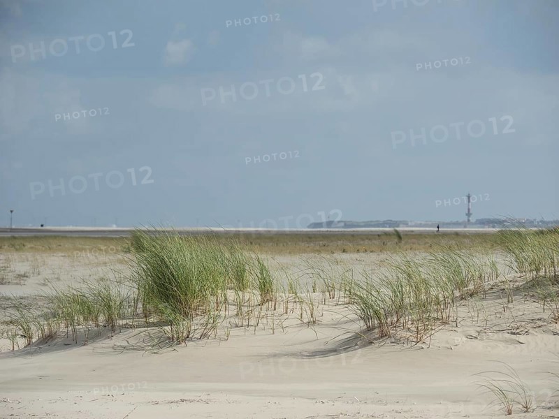 Extensive sand dunes with tufts of grass under a slightly cloudy sky, sand dune with dune grass on a beach in front of a cloudy sky, spiekeroog, germany