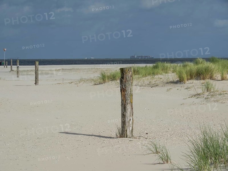 Empty dune landscape with wooden posts on the beach under a cloudy sky, lonely beach with dune grass in the neighbouring dune and marker posts, clouds play in the sky, Spiekeroog, Germany, Europe