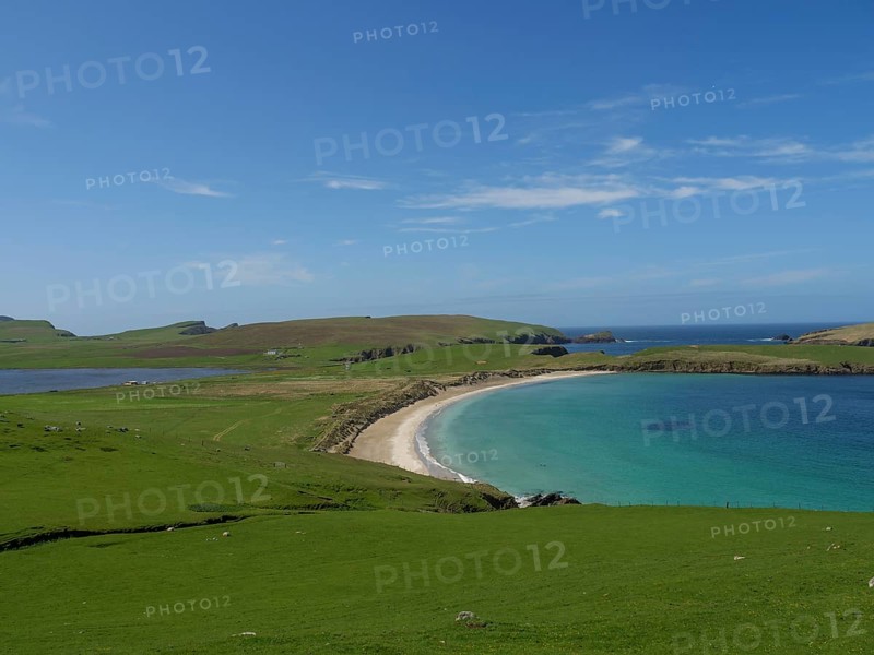 A breathtaking coastal landscape with an elongated beach surrounded by green meadows and clear blue water under a wide sky, golden beach with green meadows on a deep blue sea with blue sky, lerwick, shetland, Scotland, United Kingdom, Europe