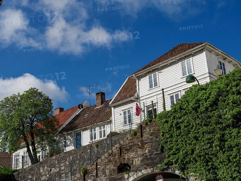 White houses with tiled roofs, blue sky and vegetation, a climb leads up to the houses, white wooden houses with red roofs against a blue sky, trees and white fences along the road, stavanger, norway