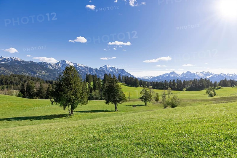 Landscape near Buching, Allgaeu Alps, sun, snow, forest, fir trees, Ostallgaeu, near Fuessen, Allgaeu, Bavaria, Germany, Europe
