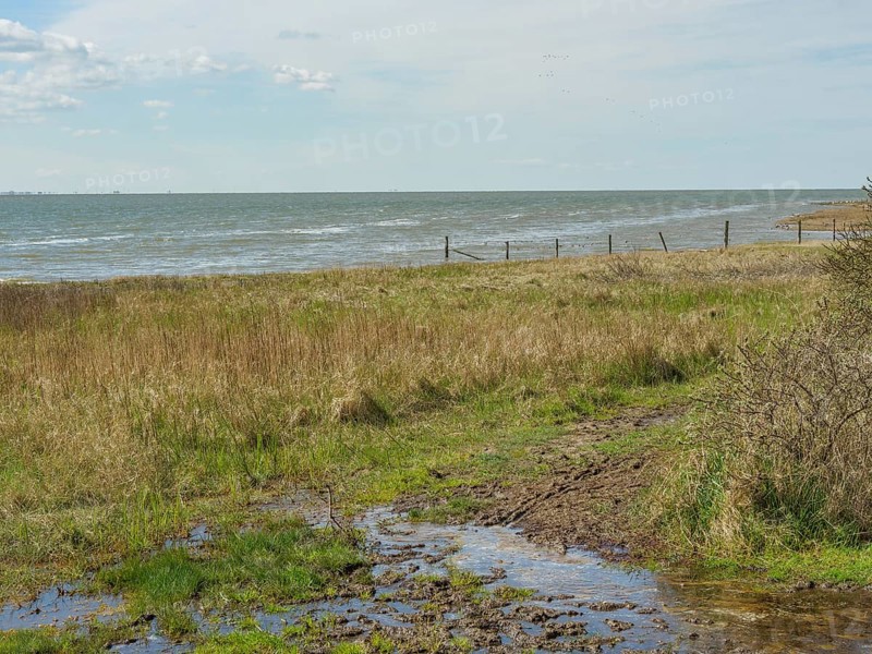 Muddy coastal area with grass and puddles in front of the sea and sky with clouds, dune and hiking trails at the wadden sea, clouds in the sky, nes, ameland, the netherlands