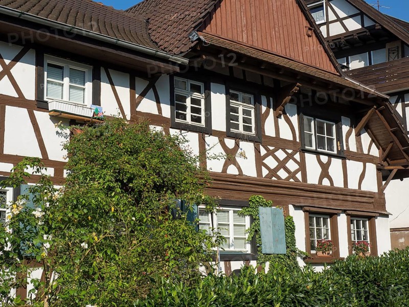 Traditional half-timbered houses with white facades and brown beams, overgrown with ivy in summer, old half-timbered houses with flower decorations in summertime, Freudenstadt, germany