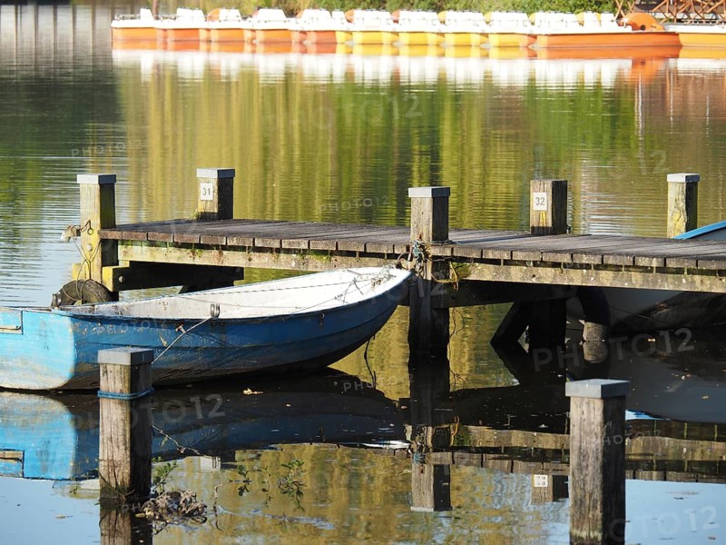 A boat is moored next to a jetty that is reflected in the water, surrounded by peaceful nature, rowing boats and pedal boats on a small wooden jetty in the lake surrounded by trees, Borken Germany