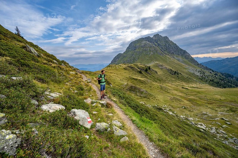 Mountaineer on a hiking trail between green mountain meadows at a saddle, Heretriegel, Carnic High Trail, Carnic Alps, Carinthia, Austria, Europe
