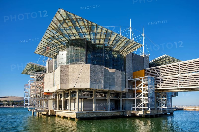 Lisbon, Portugal, July 28, 2023: The Lisbon Oceanarium one of the largest indoor aquariums in Europe, world's largest saltwater oceanarium and approximately 1 million people visit each year, Europe