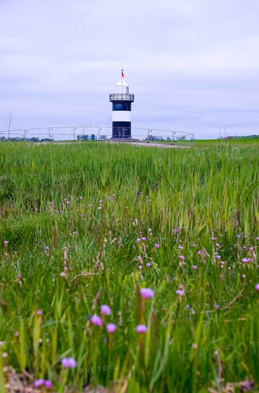 Black and white lighthouse near the North Sea resort of Wremen, called 'Kleiner Preusse' in the midst of tall grasses and flowering beach carnations (Armeria maritima), also known as common carnation, flower of the year 2024, wildflowers, cloudy day, German flag, flag, Lower Saxony Wadden Sea National Park, World Heritage Site, Wurster North Sea coast, Land Wursten, district of Cuxhaven, Lower Saxony, Germany, Europe