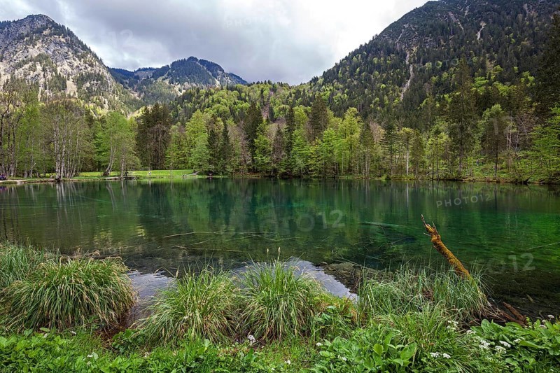 Christlessee, near Gottenried, Trettachtal, Oberstdorf, Oberallgaeu, Allgaeu, Bavaria, Germany, Europe