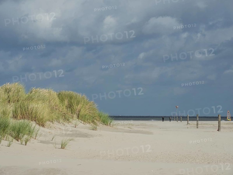 Sand dune landscape with grass and a view of the sea under a cloudy sky, lonely beach with dune grass in the neighbouring dune and marker posts, clouds play in the sky, Spiekeroog, Germany, Europe