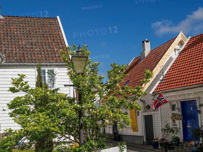 White houses with red tiled roof and norwegian flag, sunny day with blue sky, white wooden houses with red roof in front of blue sky, trees and white fences at the street, stavanger, norway
