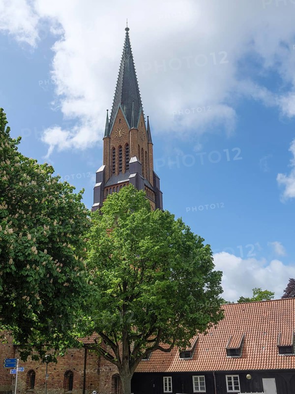 A church tower rises behind a large tree in a village with brick houses and cloudy sky, large church towers with trees and historic houses in the foreground, Schleswig, Germany, Europe