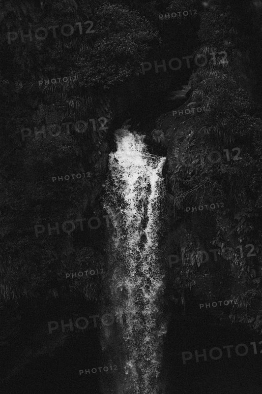 Omanawa Falls waterfall near Tauranga, New Zealand. Tropical nature surrounds the waterfall. Shot in black and white