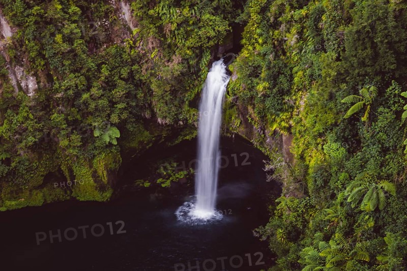 Omanawa Falls waterfall near Tauranga, New Zealand. Tropical nature surrounds the waterfall