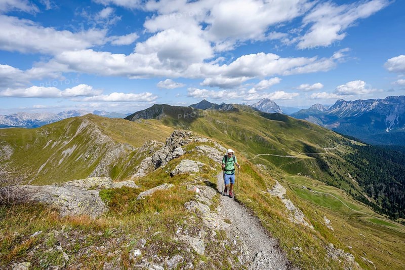 Mountaineer on a hiking trail on a grassy mountain ridge, idyllic mountain landscape with green mountain meadows, Carnic High Trail, Carnic Main Ridge, Carnic Alps, Carinthia, Austria, Europe