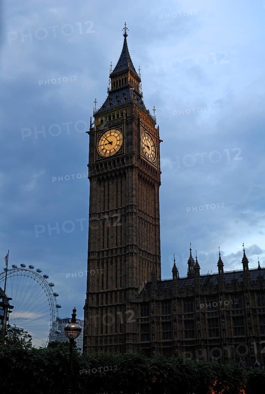 Big Ben, Bridge Street, in the dusk at the back left the Ferris wheel on the Thames, London, England, Great Britain