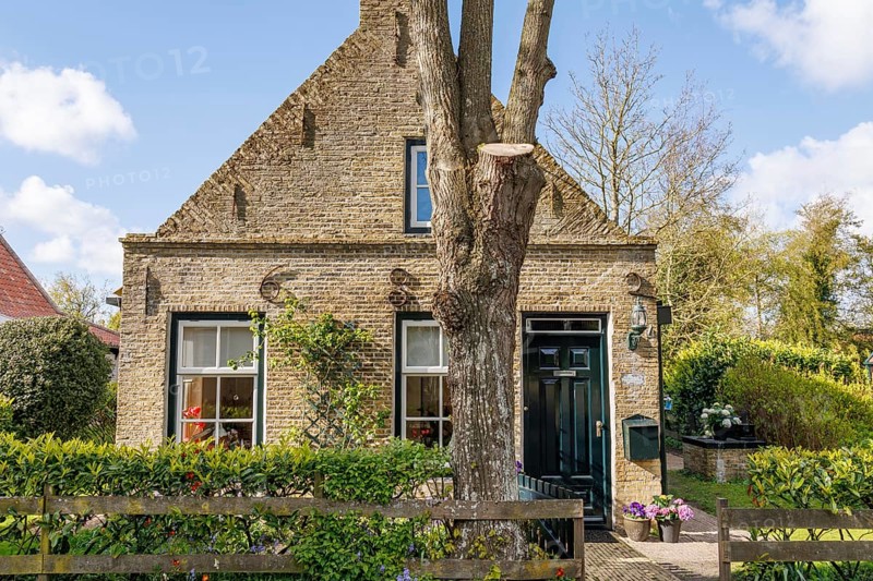 Rustic brick house with tree in the front garden and rural charm, surrounded by green vegetation in spring, historic houses in a small village with small streets and trees in spring, Nes, Ameland, Netherlands