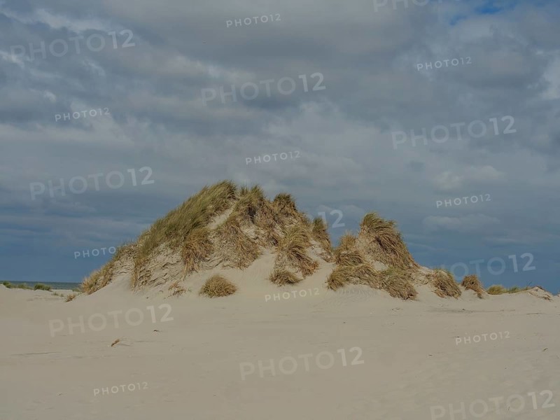 Large sand dune with grass under a cloudy sky, dune and beach by the sea with footpaths, grass and lots of sand, nes ameland, the netherlands
